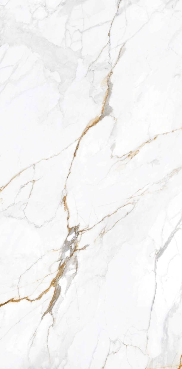 Apollo White